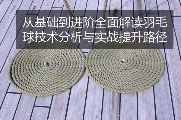 从基础到进阶全面解读羽毛球技术分析与实战提升路径